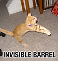 invisiblebarrel