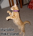 invisiblemikestand