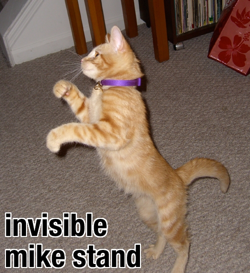 invisiblemikestand.jpg