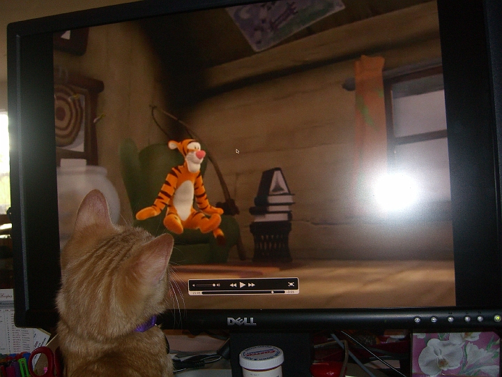 CIMG2015.JPG - watching Tigger :)