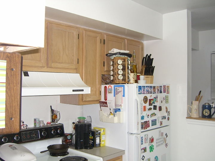 CIMG2399.JPG - Can you find Jasper in this picture? (I have since reorganized the top of the fridge to avoid more breakable stuff falling down.)