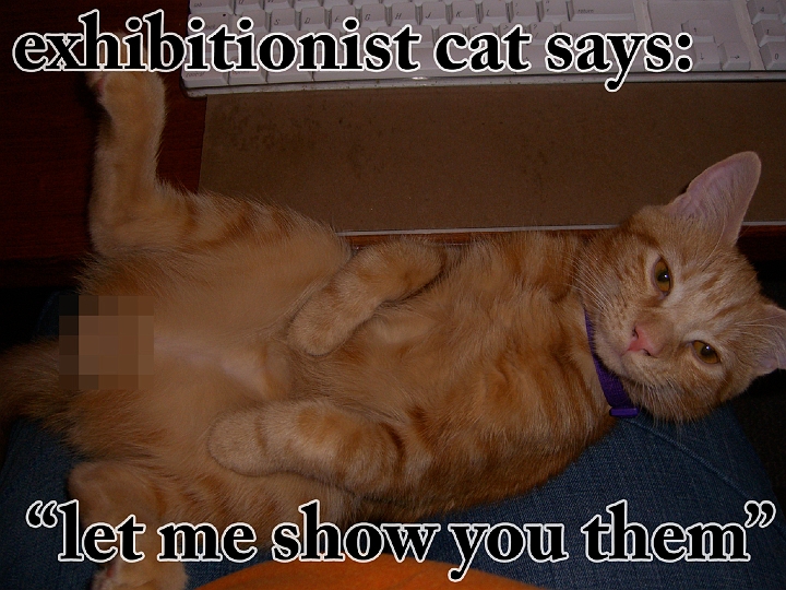 exhibitionist.jpg