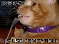 USB-cat