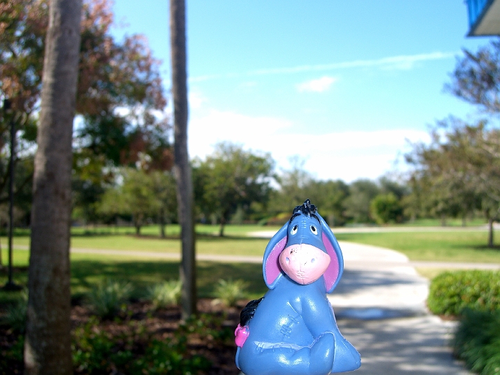 CIMG2806.JPG - Largo city park