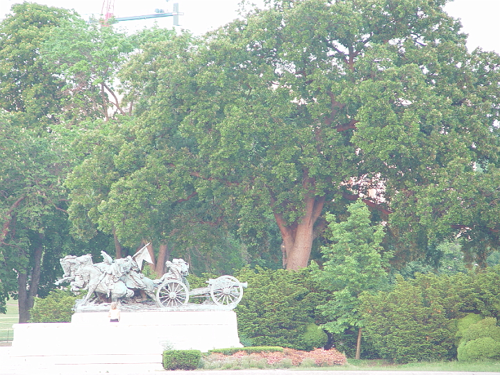 DSC01920.jpg - statue in front of the Capitol