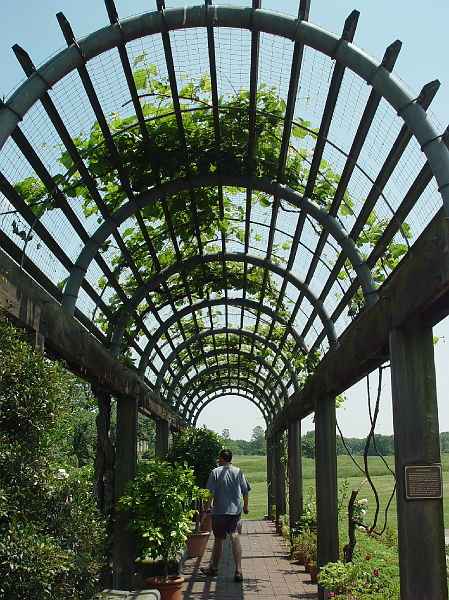 DSC01940.jpg - National Arboretum