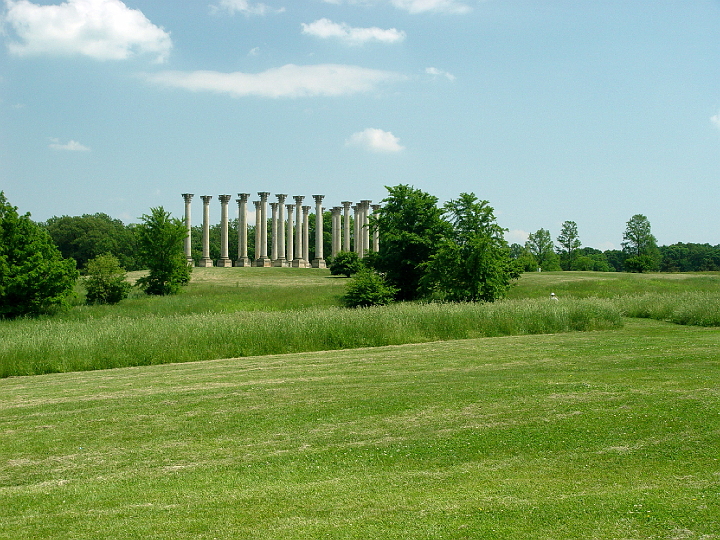 DSC01945.jpg - the Capitol Columns at the National Arboretum