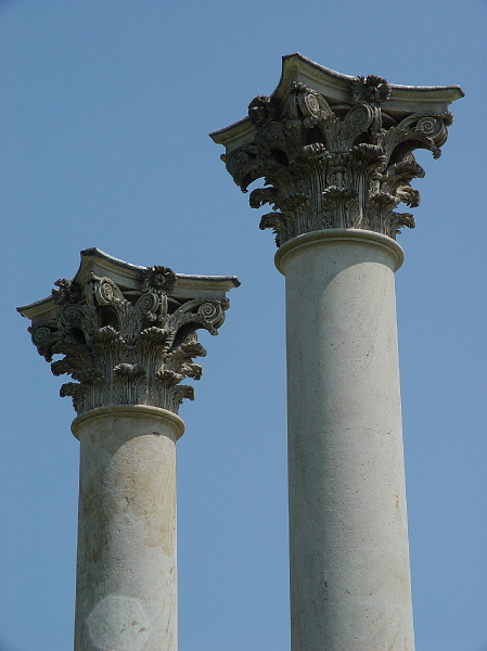 DSC01947.jpg - the Capitol Columns at the National Arboretum