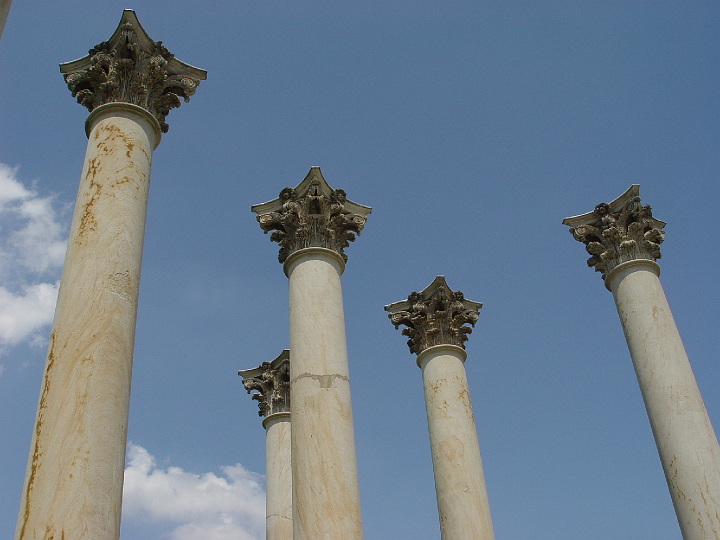 DSC01950.jpg - Capitol Columns at the National Arboretum