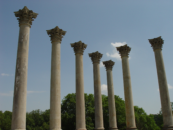 DSC01951.jpg - Capitol Columns at the National Arboretum